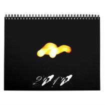 2010 a Light Through Darkness calendars