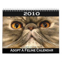 2010 Adopt Cat Calendar
