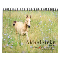2010 Akhal-Teke Horses calendars by PaintingPony 2010 Akhal-Teke Horses calendars