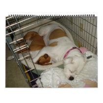 2010 American Bulldog Calendar