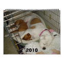 2010 American Bulldog Calendar