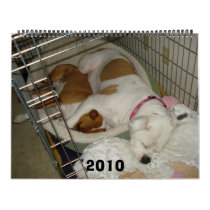 2010 American Bulldog Calendar