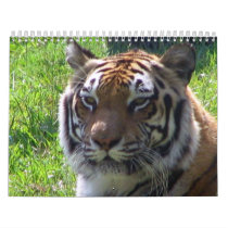 2010 Animal Calendar by dduhaime55 2010 Animal Calendar