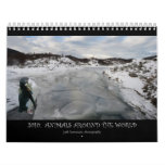 2010: Animals Around the World Calendar