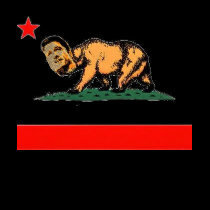 2010 Bearamendi State flag Shirt by elfyboy 2010 Bearamendi State flag Shirt