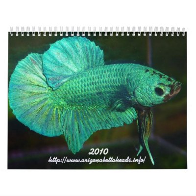 2010 Betta Calendar by MartinisMommy