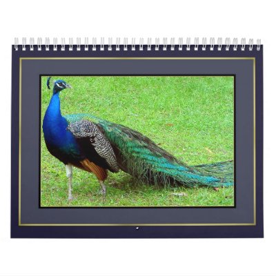 2010 Bird Calendar 2010 Bird Calendar