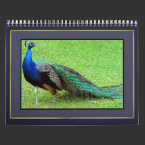 2010 Bird Calendar calendars