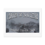 2010 Blizzard Postcards
