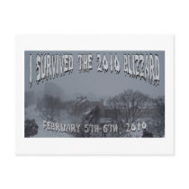 2010 Blizzard Postcards