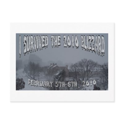 2010 Blizzard Postcards by briscoda
