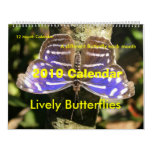 2010 Butterfly Calendar
