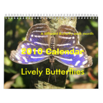 2010 Butterfly Calendar