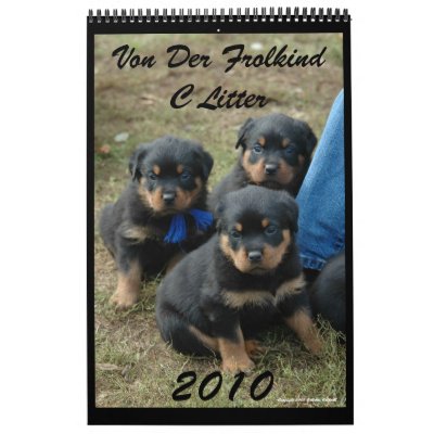 2010 C Litter Calendar by qtrhorse94