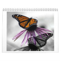 2010 calander calendars