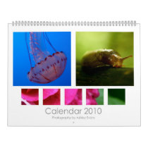 2010 Calendar by scarvogue 2010 Calendar