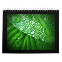 2010 Calendar
