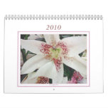 2010 Calendar
