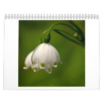 2010 Calendar