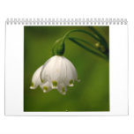 2010 Calendar