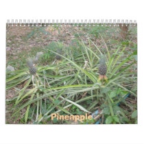 2010 Calendar