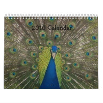 2010 Calendar