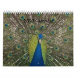 2010 Calendar