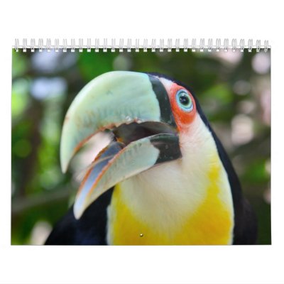2010 Calendar, Birds of Brazil by dingousa