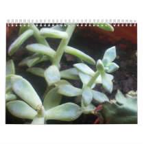 2010 Calendar Green Thumb