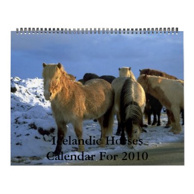 2010 Calendar Icelandic Horses Theme by sat728