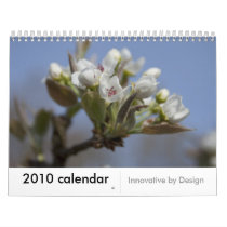 2010 calendar, Innovative by Design by rathbunct 2010 calendar, Innovative by Design
