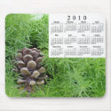 2010 Calendar mousepads