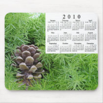 2010 Calendar mousepads