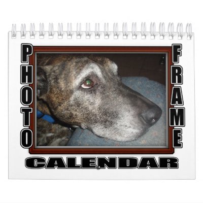 2010 Calendar Photo Frame by Frames4you