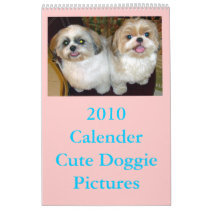 2010 Calender calendars