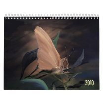 2010 Calender calendars