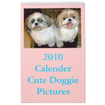 2010 Calender Wall Calendar