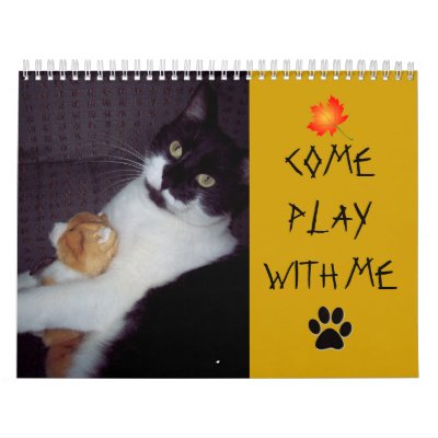 2010 CAT CALENDAR by griphonc