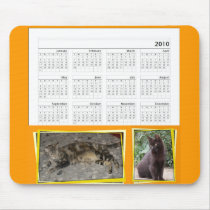 2010 Cat Calendar Mousepad