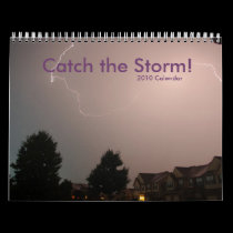 2010 Catch the Storm! Calendar calendars