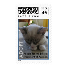 2010 Cutest Cat Contest Winner Stamps