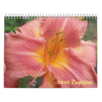 2010 Daylilies calendars