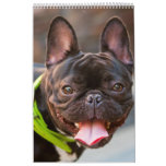 2010 Dog Calendar