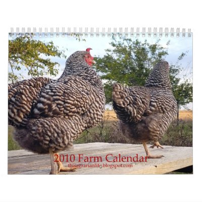 2010 Farm Calendar by tarapommer