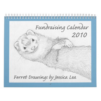 2010 Ferret Fundraising Calendar by RenaissanceFerret