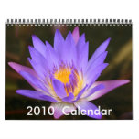 2010 Flower Power Calandar Wall Calendar