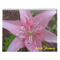 2010 Flowers calendars