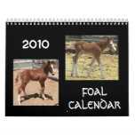 2010 Foal Calendar