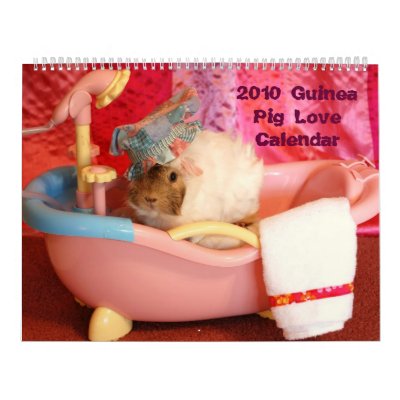 2010 Guinea Pig Love Calendar by GuineaPigLove