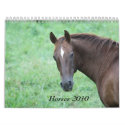 2010 Horse Calendar